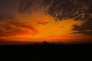 jenu-prasad-278324