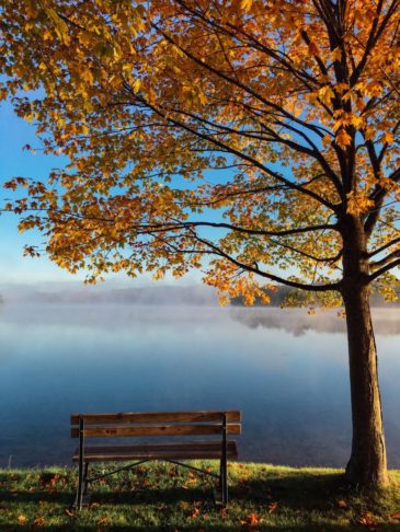 aaron-burden-38410-unsplash