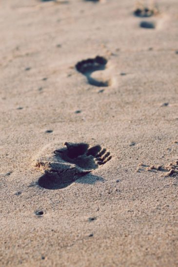 christopher-sardegna-157-unsplash