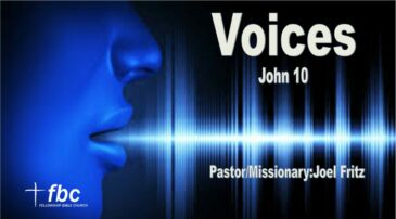 Voices-John10